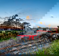 Mary Valley Rattler - Gold Coast