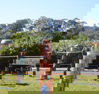 Maryboroughs Bollards - Tourism Gold Coast