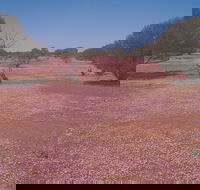 Meekatharra - Tourism Gold Coast