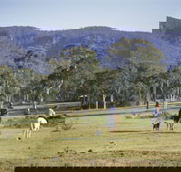 Megalong Valley - Tourism Gold Coast