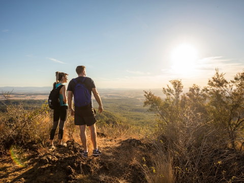 Mount Blaine Hiking Track - Tourism Gold Coast 1