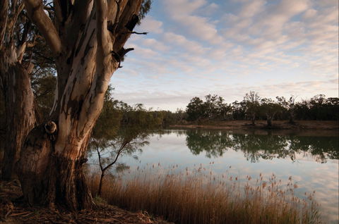 Murray-Kulkyne Regional Park - Tourism Gold Coast 0