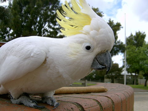 Myuna Farm - Tourism Gold Coast 1