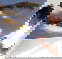 Neale Joseph Fine Art Gallery - Tourism Gold Coast