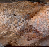 Ngamadjidj Shelter - Wartook Valley - Tourism Gold Coast