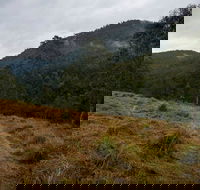 Nowendoc National Park - Gold Coast