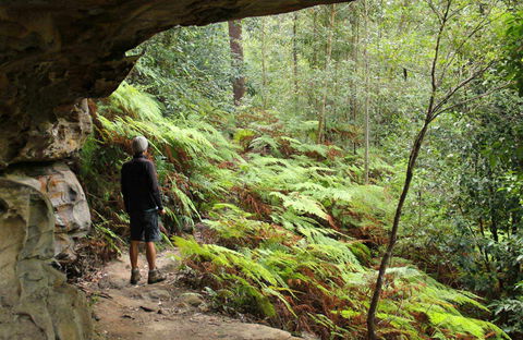 Old Great North Road Bike Ride - Tourism Gold Coast 0