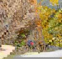 Old Great North Road - World Heritage Walk - Tourism Gold Coast