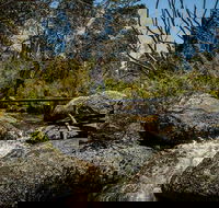 Pallaibo walking track - Tourism Gold Coast