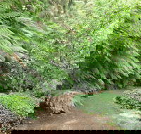 Pirianda Gardens - Tourism Gold Coast