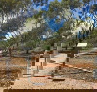 Powell Gardens - Tourism Gold Coast