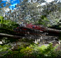 Puffing Billy Railway - Tourism Gold Coast