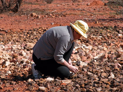 Quilpie Opal Fossicking - Tourism Gold Coast 1