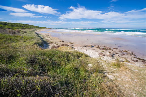 Racecourse Beach: Bawley Point - Tourism Gold Coast 0