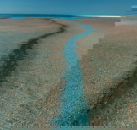 Rowley Shoals - Tourism Gold Coast