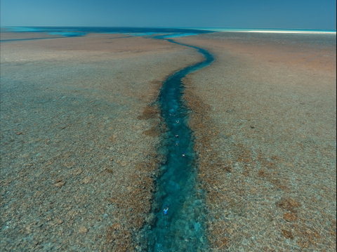 Rowley Shoals - Tourism Gold Coast 0