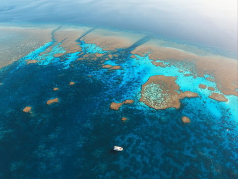 Rowley Shoals - Tourism Gold Coast 1