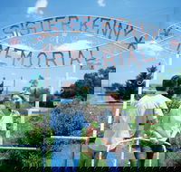 Sister Kenny Memorial Nobby - Tourism Gold Coast