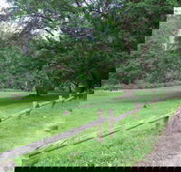 St Albans Reserve - Tourism Gold Coast