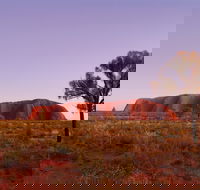 Sunrise Viewing Area Talinguru Nyakunytjaku - Tourism Gold Coast