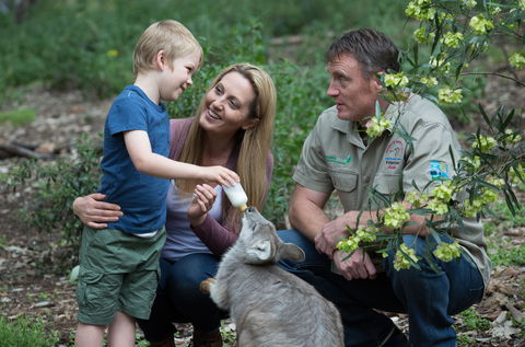 Tamworth Marsupial Park And Adventure Playground - Tourism Gold Coast 0