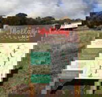 The Wallaby Track - Tourism Gold Coast