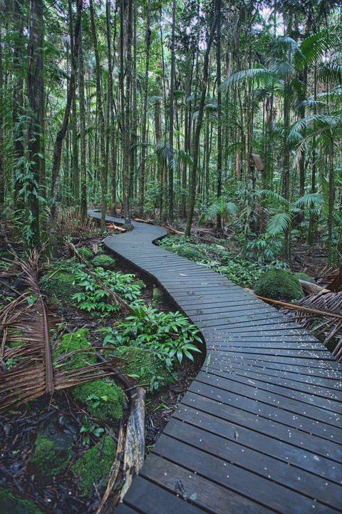The Channon, Protesters Falls, Nimbin And Mount Nardi - Tourism Gold Coast 0