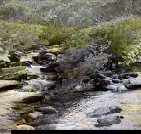 Thredbo River Track - Tourism Gold Coast