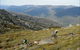 Thredbo Mountain Biking - thumb 0