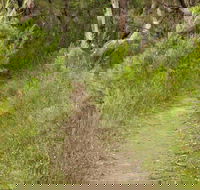 Three Views walking track - Tourism Gold Coast