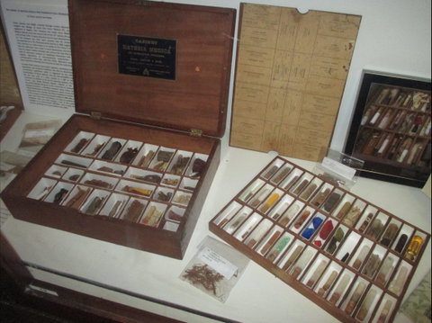 UQ Marks-Hirschfeld Museum Of Medical History - Tourism Gold Coast 0
