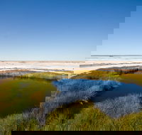 Wabma Kadarbu Mound Springs Conservation Park - Tourism Gold Coast