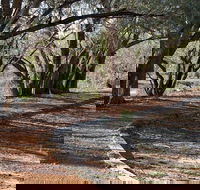 Warrego Floodplain walking track - Tourism Gold Coast