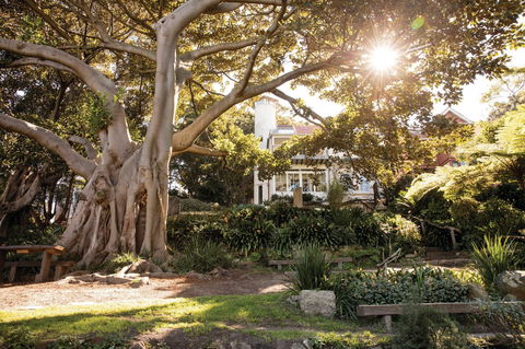 Wendy Whiteley's Secret Garden - Tourism Gold Coast 0