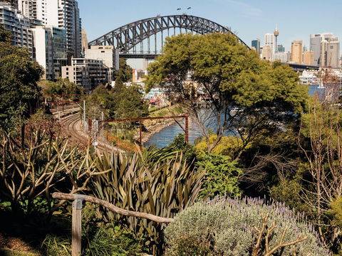 Wendy Whiteley's Secret Garden - Tourism Gold Coast 2
