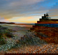 Werri Beach and Point - Tourism Gold Coast