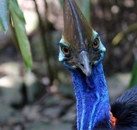 Wildlife Habitat - Tourism Gold Coast