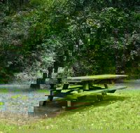 Williams River picnic area - Tourism Gold Coast