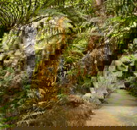 William Ricketts Sanctuary - Tourism Gold Coast
