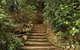 William Ricketts Sanctuary - thumb 1
