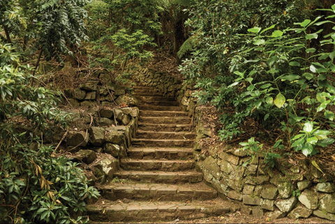 William Ricketts Sanctuary - Tourism Gold Coast 1