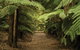 William Ricketts Sanctuary - thumb 2