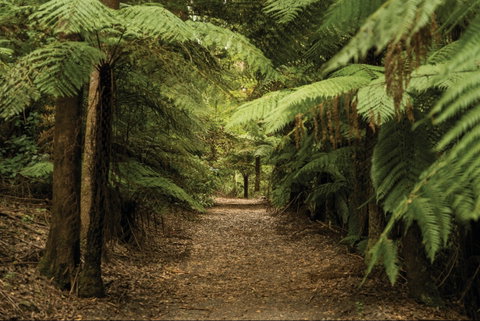William Ricketts Sanctuary - Tourism Gold Coast 2