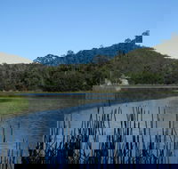 Yalwal - Tourism Gold Coast