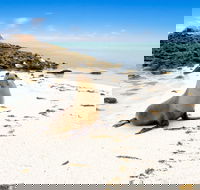 Abrolhos Islands - Tourism Gold Coast