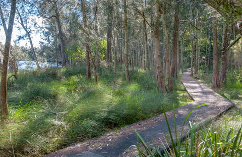 Anabranch Loop Track - Tourism Gold Coast 0