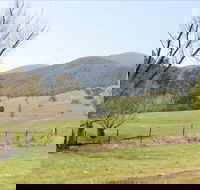 Banimboola Creek Rest Area - Tourism Gold Coast