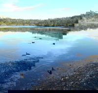 Berrara Creek - Tourism Gold Coast