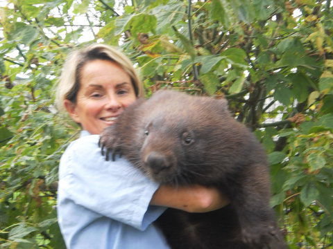 Birdland Animal Park - Gold Coast 2