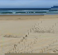 Bongil Beach - Tourism Gold Coast